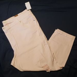 Size 28 Eloquii Pink Distressed Skinny Jeans